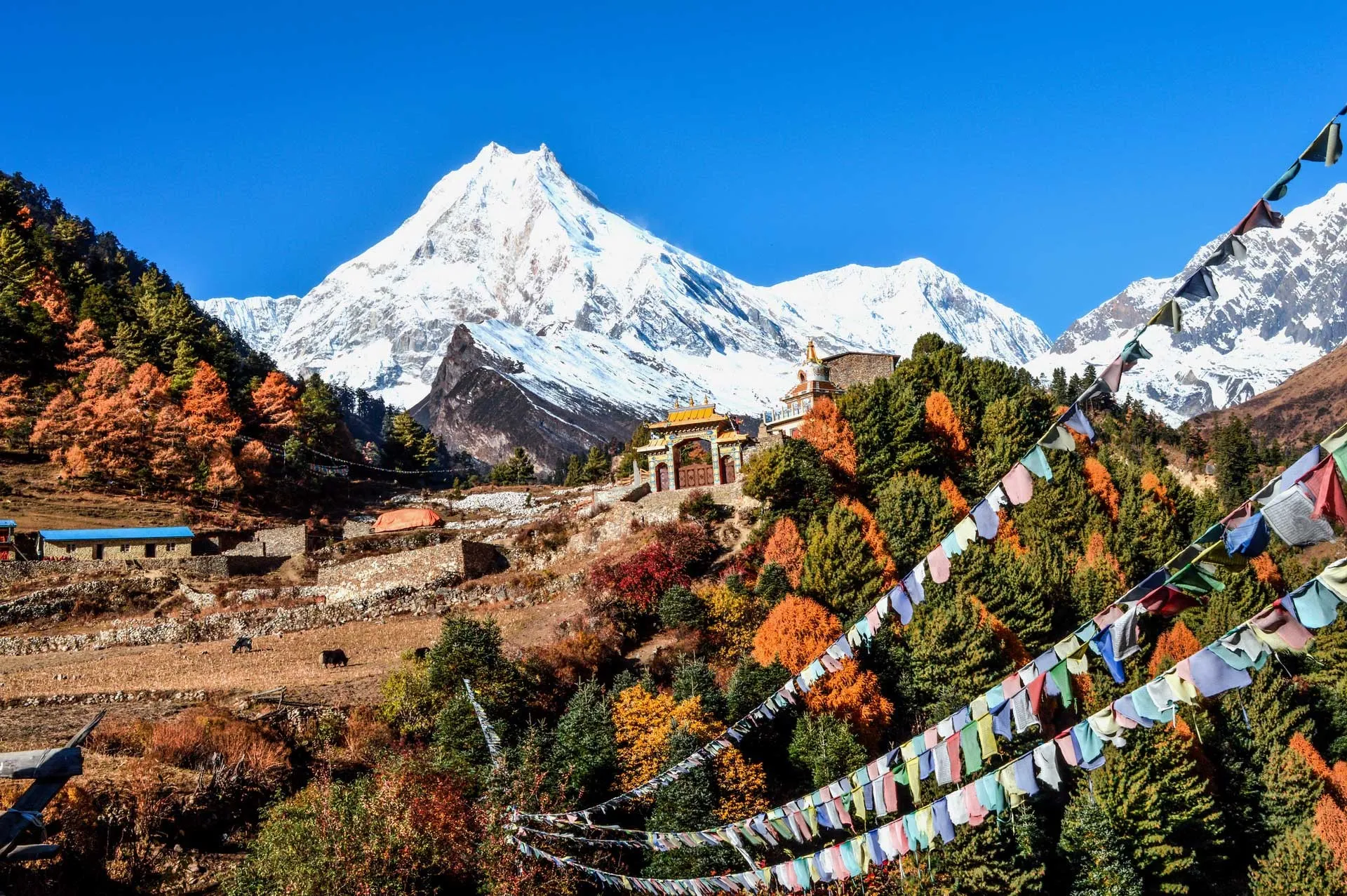 Manaslu